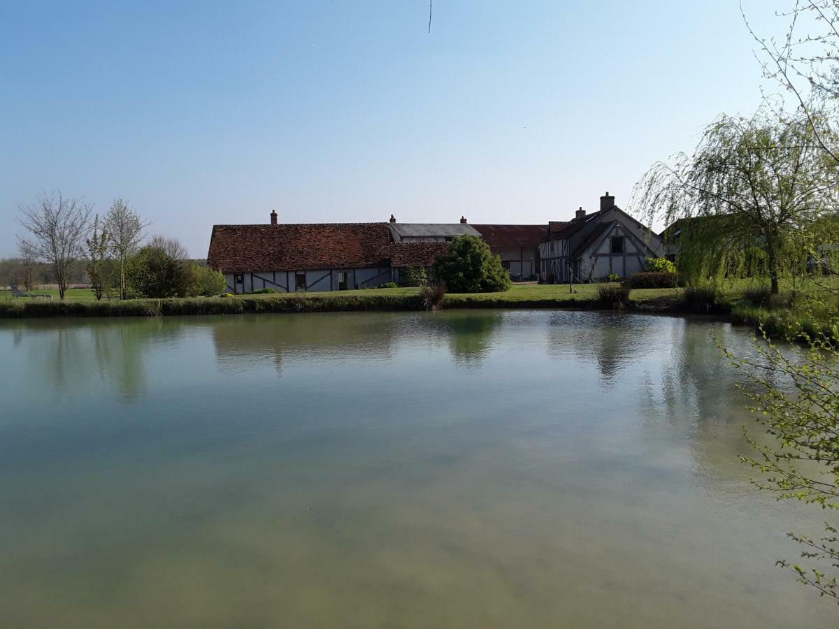 La Belviniere Chambres Et Table D'Hotes Tour-en-Sologne Eksteriør bilde