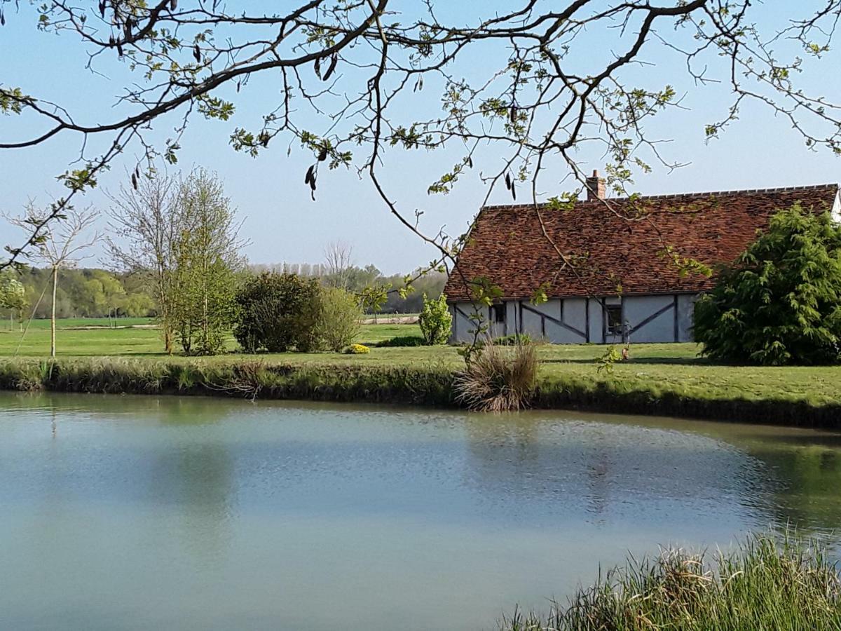 La Belviniere Chambres Et Table D'Hotes Tour-en-Sologne Eksteriør bilde